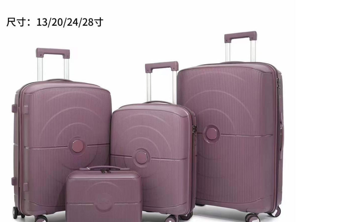 4点セット 軽量 持ち運び用 スピナー スーツケース TSA ロック 防傷 PP 素材 拡張可能 20 24 28 インチ