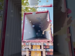 多彩の子供用 引っ張るスーツケース 30L 望遠鏡柄付き